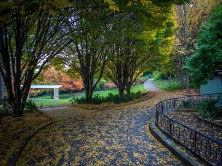 Sandy Bay Escape Hobart